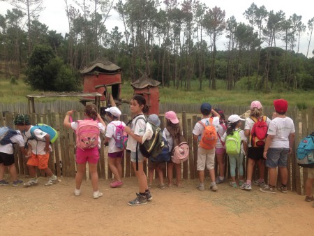 Não houve sossego para os bichinhos... :p